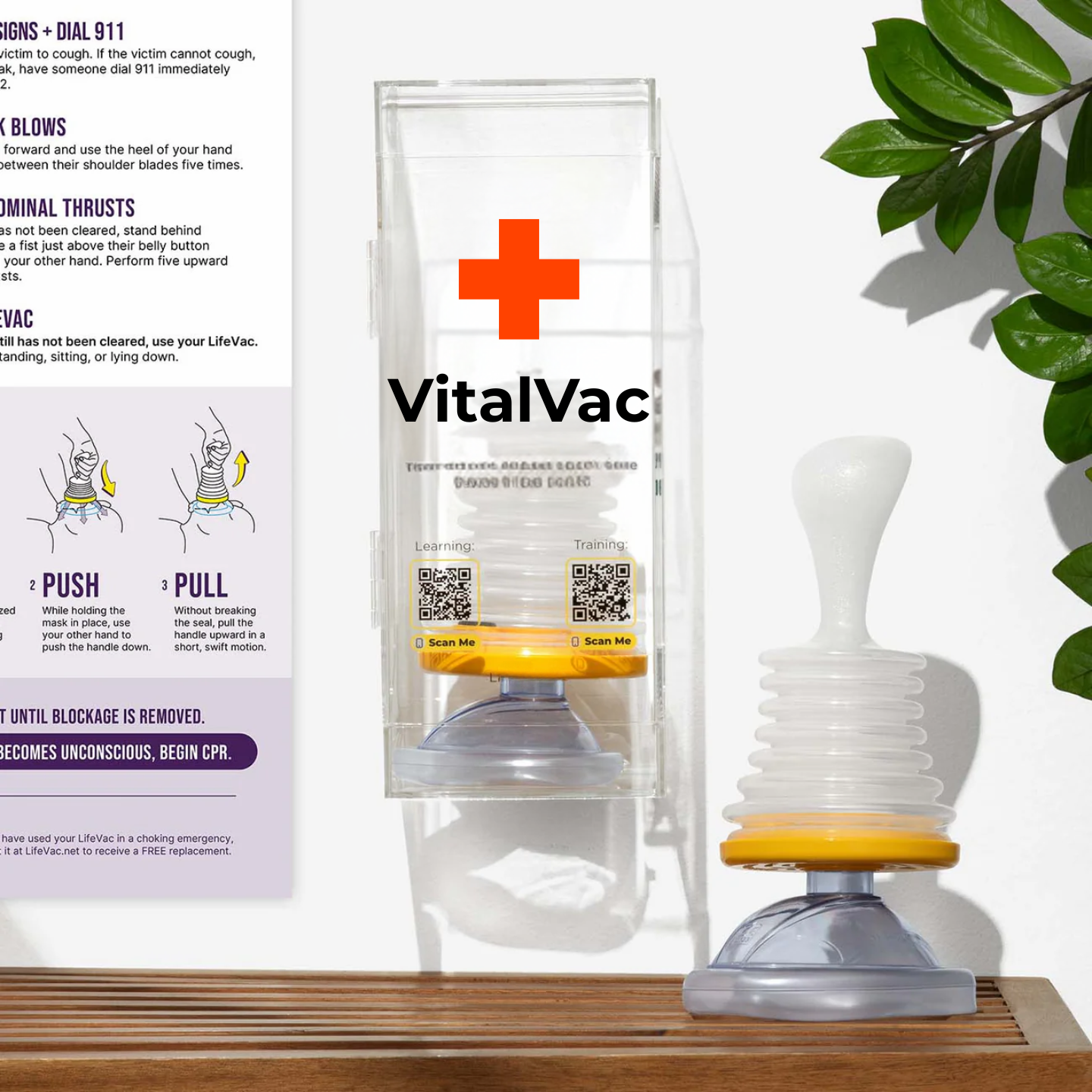 VitalVac Clear Wall Mounted Case